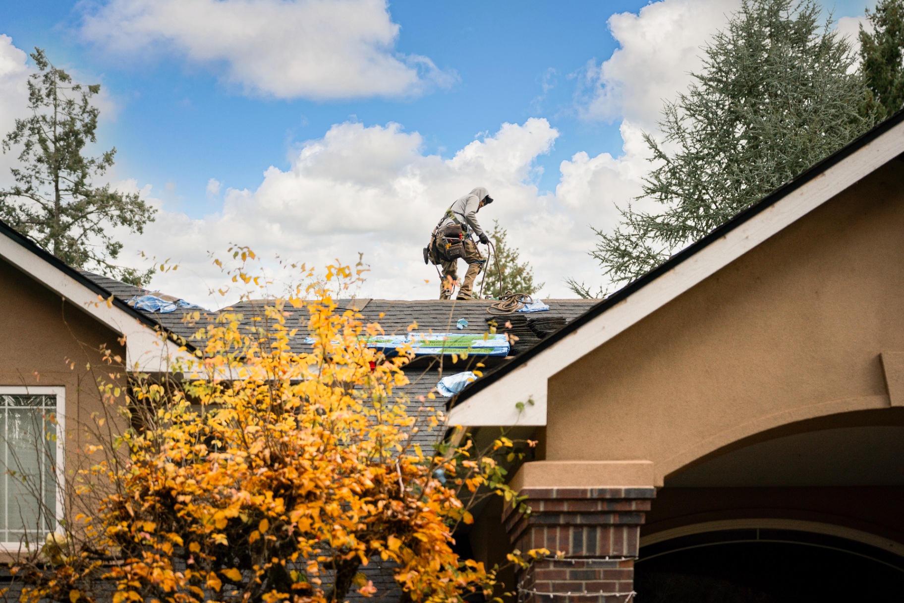 Roof Replacement service by Safecover Roofing